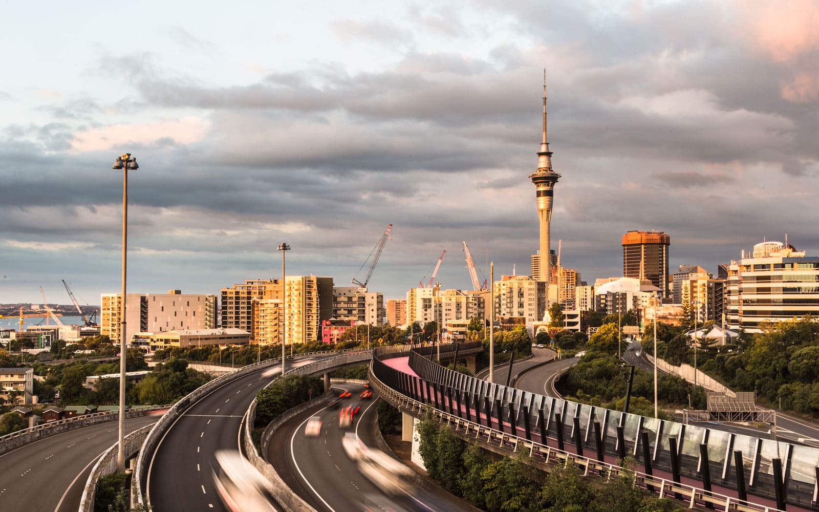 a city view of Auckland, New Zealand